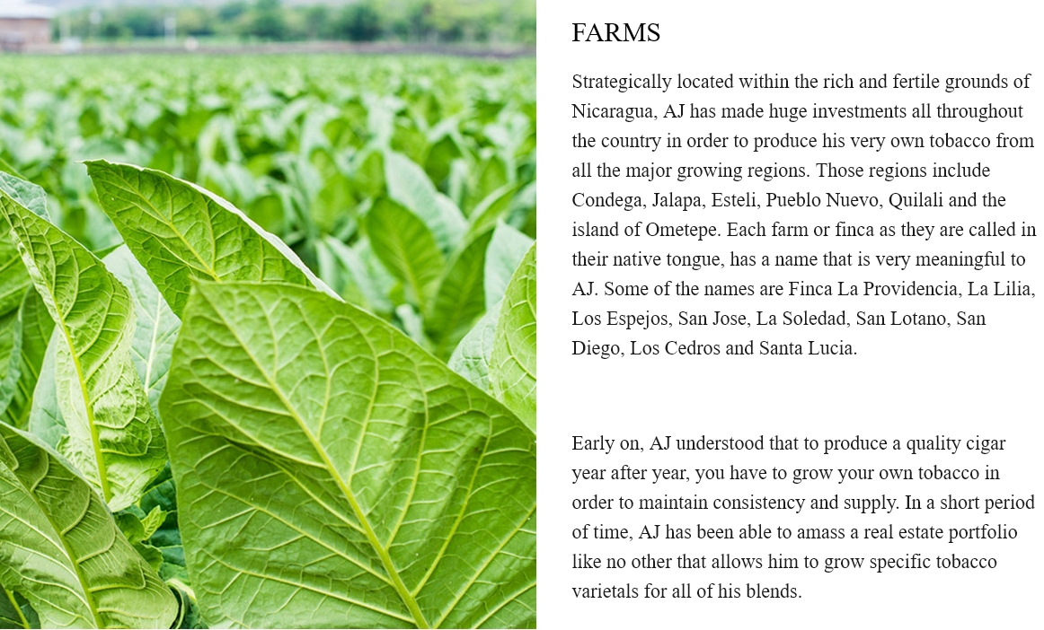 La Arca Cigars