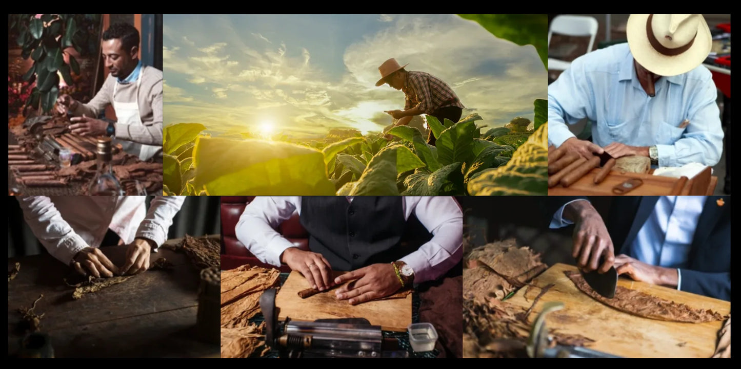 La Arca Cigars